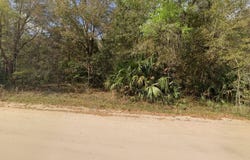 ANNETTE AVENUE, INTERLACHEN, FL 32148