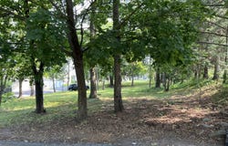 702 Connell Street, Scranton, PA 18505