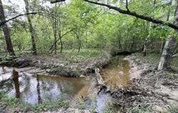 0 County Road 6, Sweet Water, AL 36782