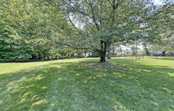 775 Grace Drive, Florence, KY 41042