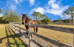 2140 W STATE ROAD 46, GENEVA, FL 32732