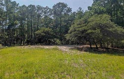 2366 Swan Island Road, Corolla, NC 27927