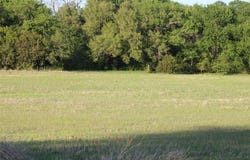 Tbd Waters Edge Lane, Glen Rose, TX 76043