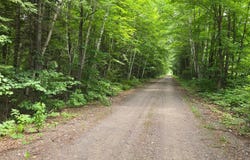 Lot 7 BOLTON LAKE LN W, Lac du Flambeau, WI 54538