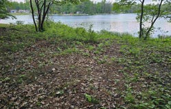 Lot 16 Paradise Drive, South Branch, MI 48761