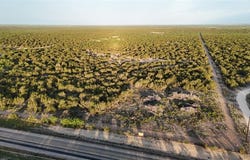 00004 RR 11, Millersview, TX 76862
