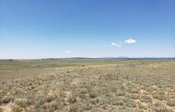 Rabbit Run Court, Moriarty, NM 87035