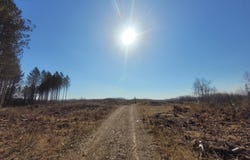 Near KNOWLES RD, Loretta, WI 54896