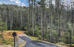 Lot 6 Hayes Trail Drive, Cashiers, NC 28717