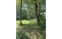 776 John Ashley, Amity, AR 71921
