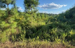County Rd 81 & County Rd 83, Mccarley, MS 38943