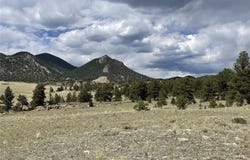 11809 CLEAR CREEK ROAD, Hartsel, CO 80449