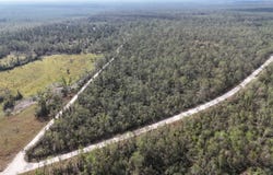 Vacant SE Trading Post Loop, Lee, FL 32059