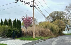 Bay Place, Bay Shore, NY 11706