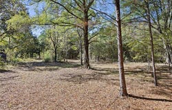 307 Highway, AR 72827