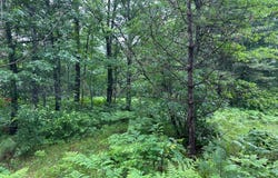 Lot 17 DADS LAKE RD, Eagle River, WI 54521