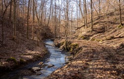 9999 North Bend Road, Stanton, KY 40380