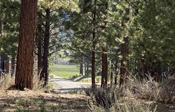 762 Redtail Loop lot: 48, Clio, CA 96106