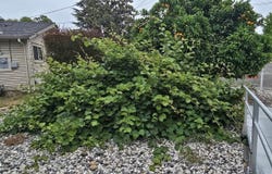 1736 Ensenada Ct, Santa Rosa, CA 95401