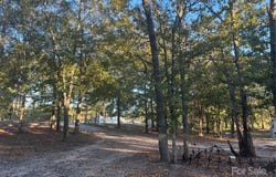 1814 Landfill Road, Mt Croghan, SC 29727