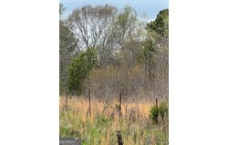 0 Holly, Hartwell, GA 30643