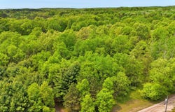 80+/- Acres V/L 140th Ave, Stanwood, MI 49346