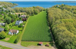 24 Jacobs Place, Aquebogue, NY 11901