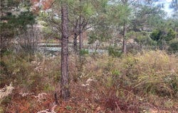 100 Crimson Ridge Rd, Brookwood, AL 35444