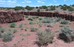 Tbd Ranch of the White Mountains, Concho, AZ 85924