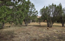 2757 Kitty Hawk Lane, Overgaard, AZ 85933