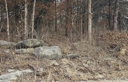 24643 Oak Drive, Pittsburg, MO 65724