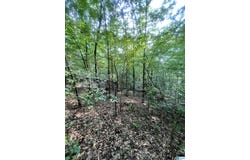 0 ANDREW JACKSON ROAD, ALEXANDER CITY, AL 35010
