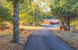 3280 Black Oak Lane, Julian, CA 92036