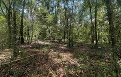 NE Champion Loop, Lee, FL 32059