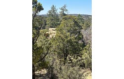XX N Ranchero Rd, Pie Town, NM 87827