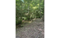 149 Happy Hollow, Mineral Bluff, GA 30559