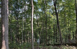 7 Sunset Drive, Jamestown, KY 42629
