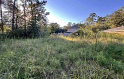 28596 Lake Dr, Lacombe, LA 70445