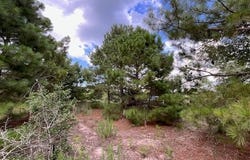 Tbd County Rd., Lot 20-C RD, Bastrop, TX 78602