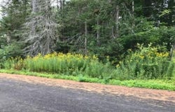 L20.5 Alderwood Park Road, Caroga, NY 12032