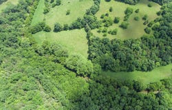 1 Casey Mill Road, Berry, KY 41003