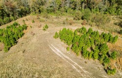 7697 N State HWY 155, Gilmer, TX 75644