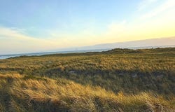 Sandpiper Ln, Manzanita, OR 97130