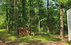 145 Sunny Springs Drive, Dover, AR 72837