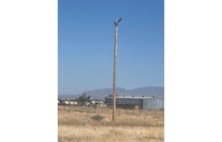 12 Avenue P8, Palmdale, CA 93550