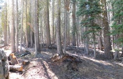 Kitch Trail, Tamarack, CA 95223