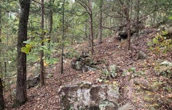 Ward Cove, Greenbrier, AR 72058