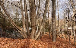 172 Granite Drive, Greentown, PA 18426