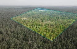 6612 Old Vanderbilt Road, Vanderbilt, MI 49795