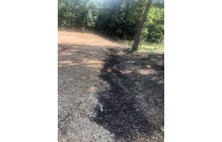 80 Caney Cove Rd, Phil Campbell, AL 35581